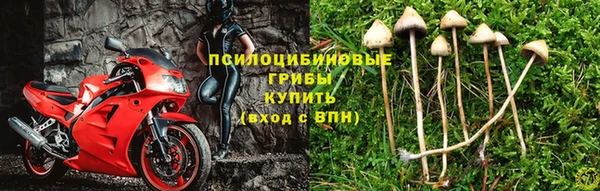 spice Верхний Тагил