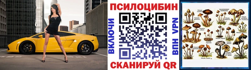 нарко площадка телеграм Щёлково Псилоцибиновые грибы мицелий